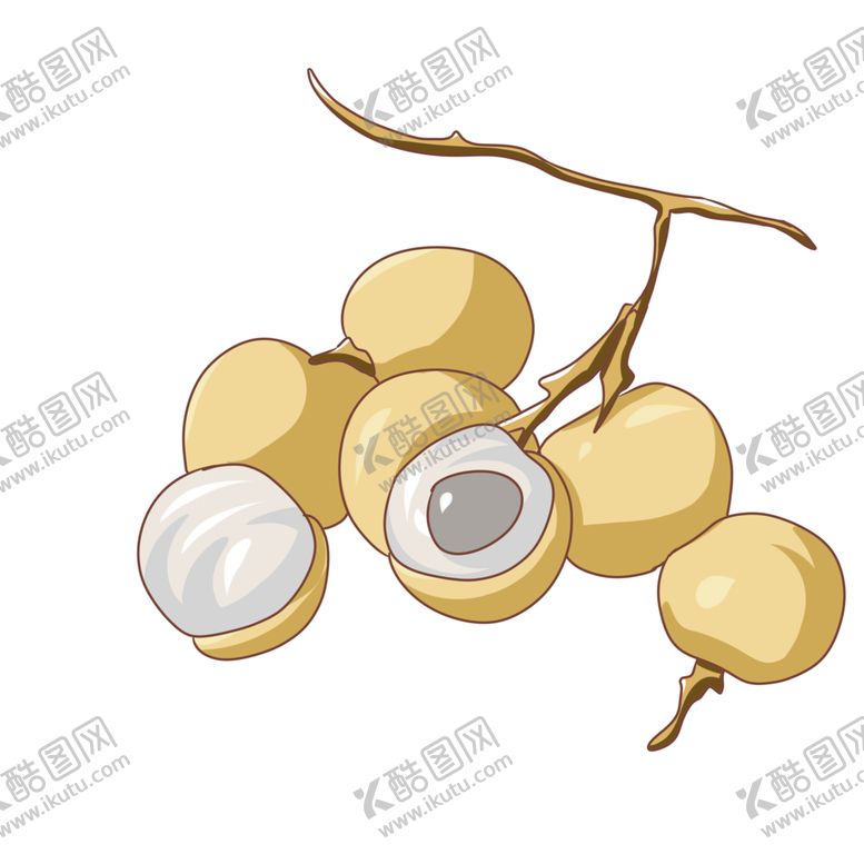 编号：20957107091758497763【酷图网】源文件下载-水果