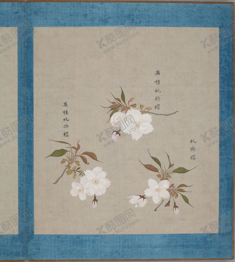 编号：92825203271012046343【酷图网】源文件下载-樱花