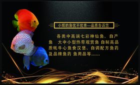 七彩鱼卡通形象
