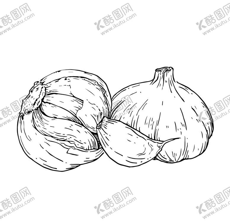 编号：31236711171613197108【酷图网】源文件下载-创意卡通手绘新鲜大蒜