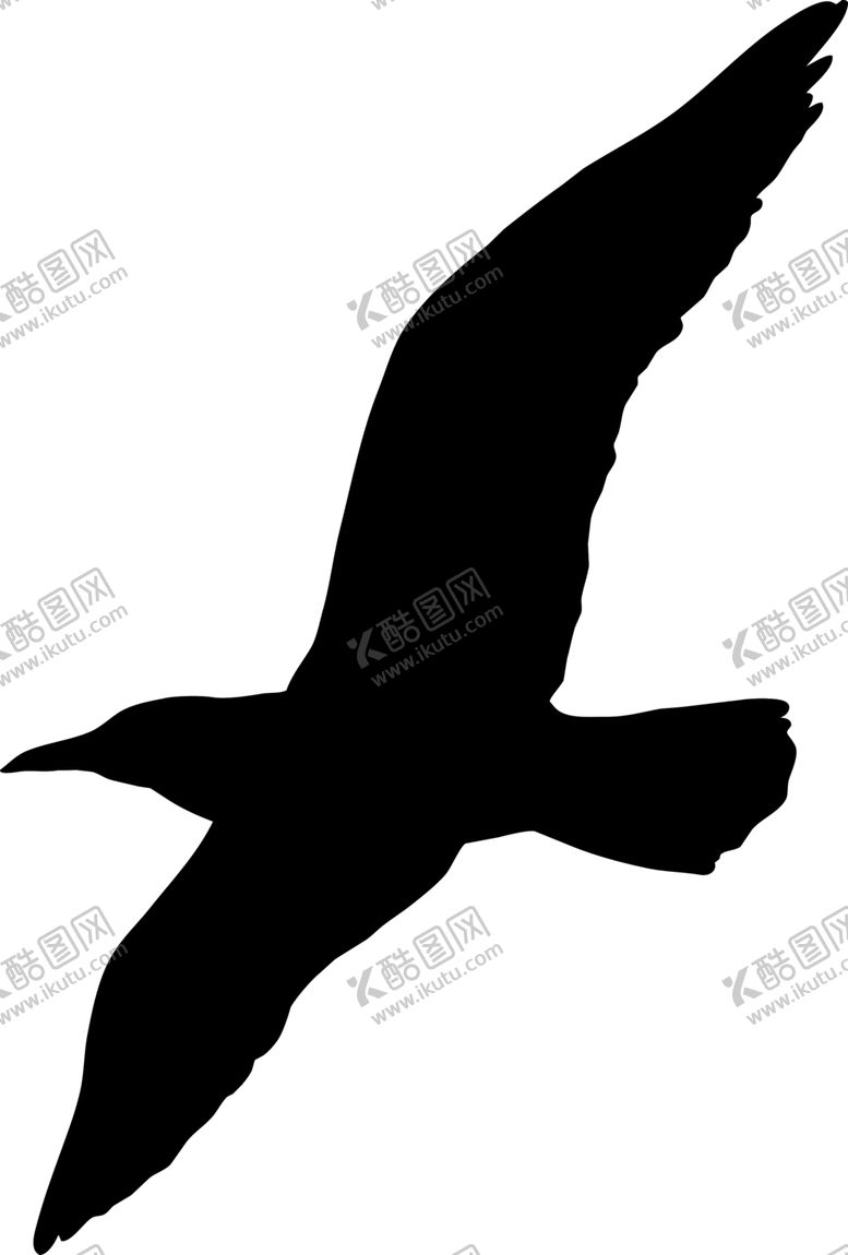 编号：74355005070924241434【酷图网】源文件下载-飞翔鸟类剪影