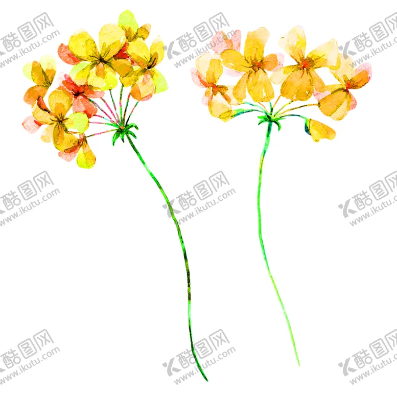 编号：62538306251730521094【酷图网】源文件下载-花素材