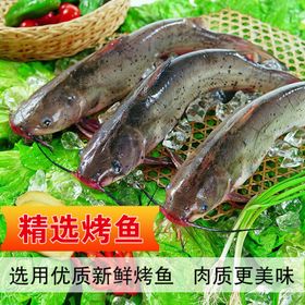烤鱼挂图菜单重庆酸菜