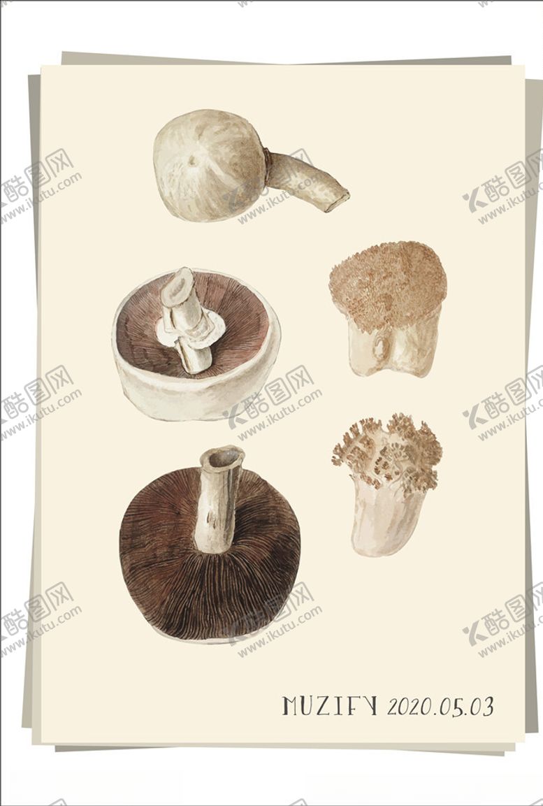 编号：89779606301102523263【酷图网】源文件下载-5款入蘑菇植物图鉴