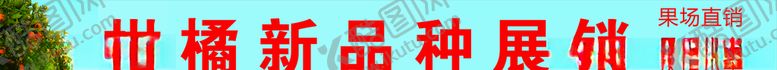 编号：13291610100731181038【酷图网】源文件下载-柑橘