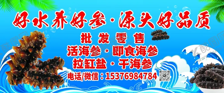 编号：71195203072156129158【酷图网】源文件下载-海参