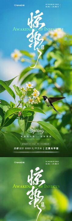 惊蛰清新海报