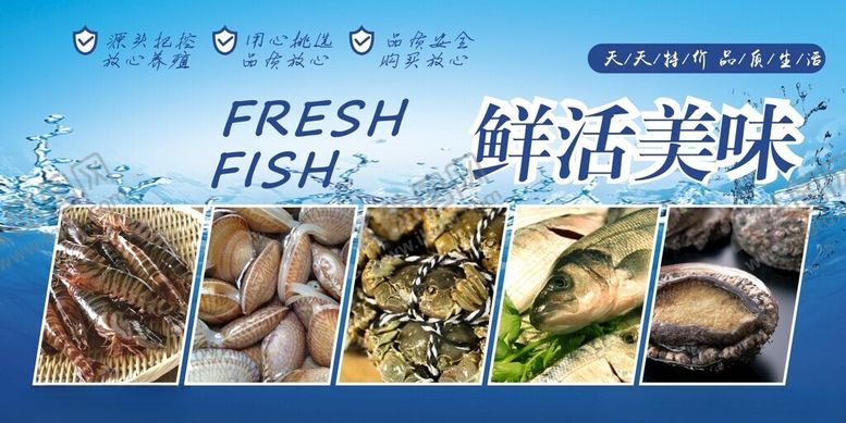 水产鲍鱼鱼类海鲜