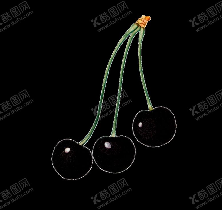 编号：52746711072112156395【酷图网】源文件下载-黑樱桃