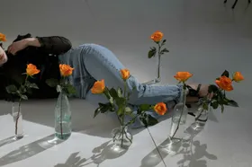 玫瑰情人节自然景观绽放