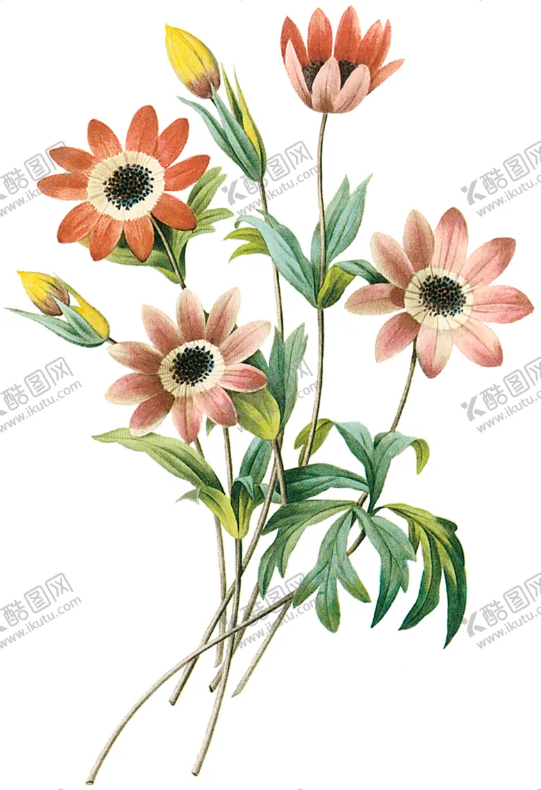 编号：47164207061157551445【酷图网】源文件下载-植物花卉油画装饰画
