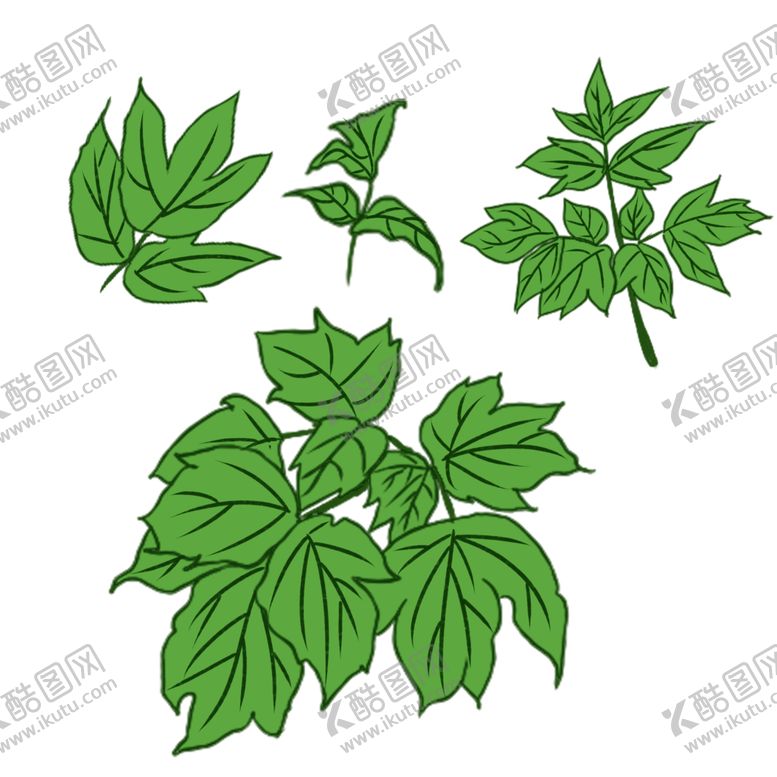 编号：61469704201405151975【酷图网】源文件下载-草本植物药材