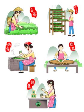 春茶从采摘到成品元素套图采茶插画手绘采茶