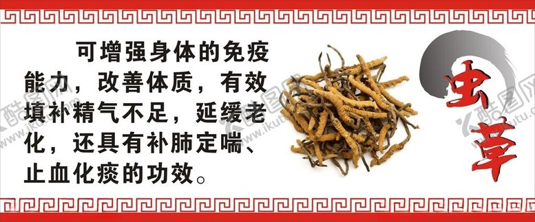 编号：12138802271731488306【酷图网】源文件下载-虫草海报