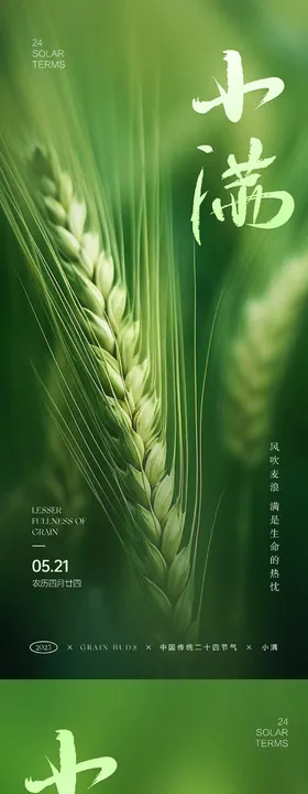 小满节气系列海报