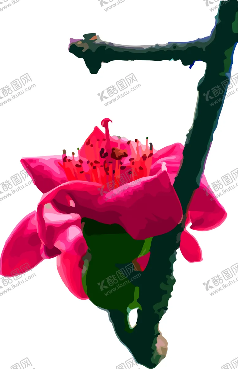 编号：88611306271529586414【酷图网】源文件下载-花素材