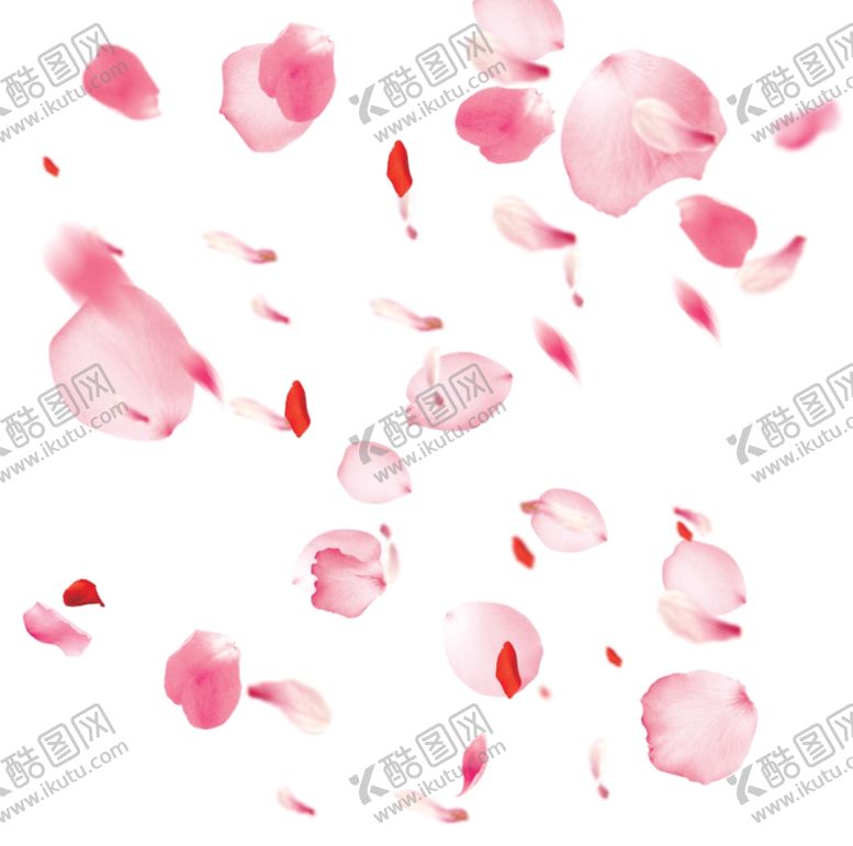 编号：33478910172202306387【酷图网】源文件下载-玫瑰花瓣