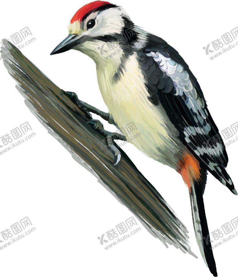 编号：43898606260244155145【酷图网】源文件下载-啄木鸟