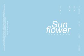 小清新淡色文字排版设计