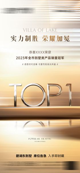 销售top1海报