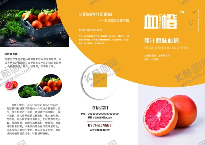 编号：58564110250303043168【酷图网】源文件下载-水果三折页