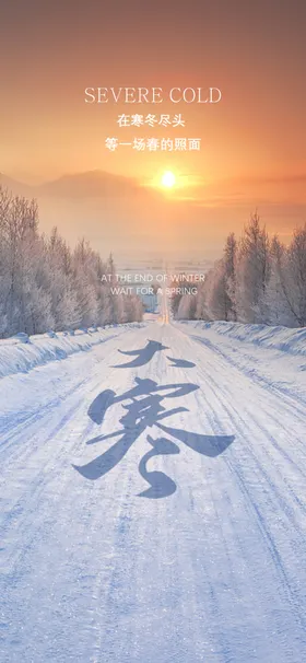 大寒海报