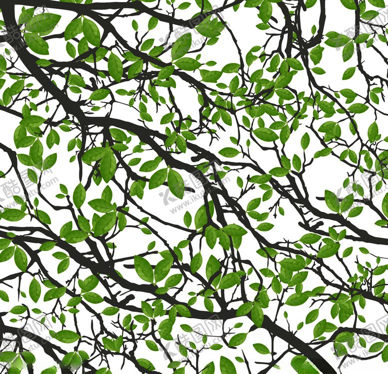 编号：78399110041420354040【酷图网】源文件下载-矢量动物矢量植物插画手绘