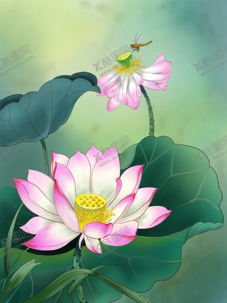 编号：08143710052035324172【酷图网】源文件下载-荷花