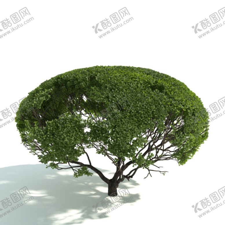 编号：67766801240405589718【酷图网】源文件下载-植物篱笆