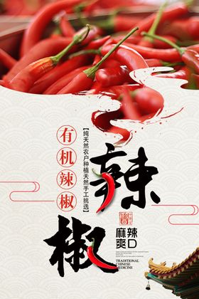 创意辣椒文案宣传海报