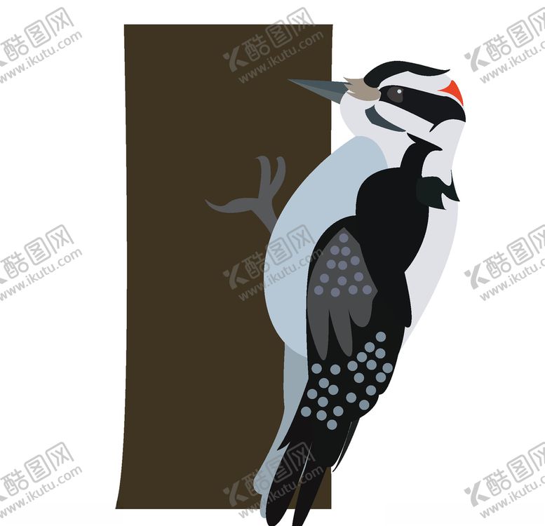编号：33585506251501304541【酷图网】源文件下载-矢量插画啄木鸟