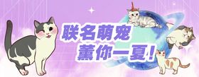 宠物banner