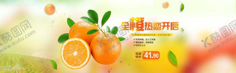 编号：24135710040538143494【酷图网】源文件下载-脐橙橙子橙子海报橙子展架