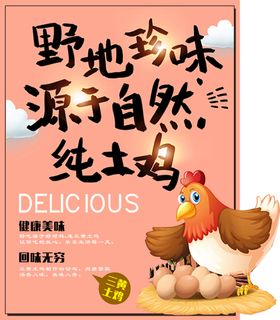 三黄土鸡的形象展架