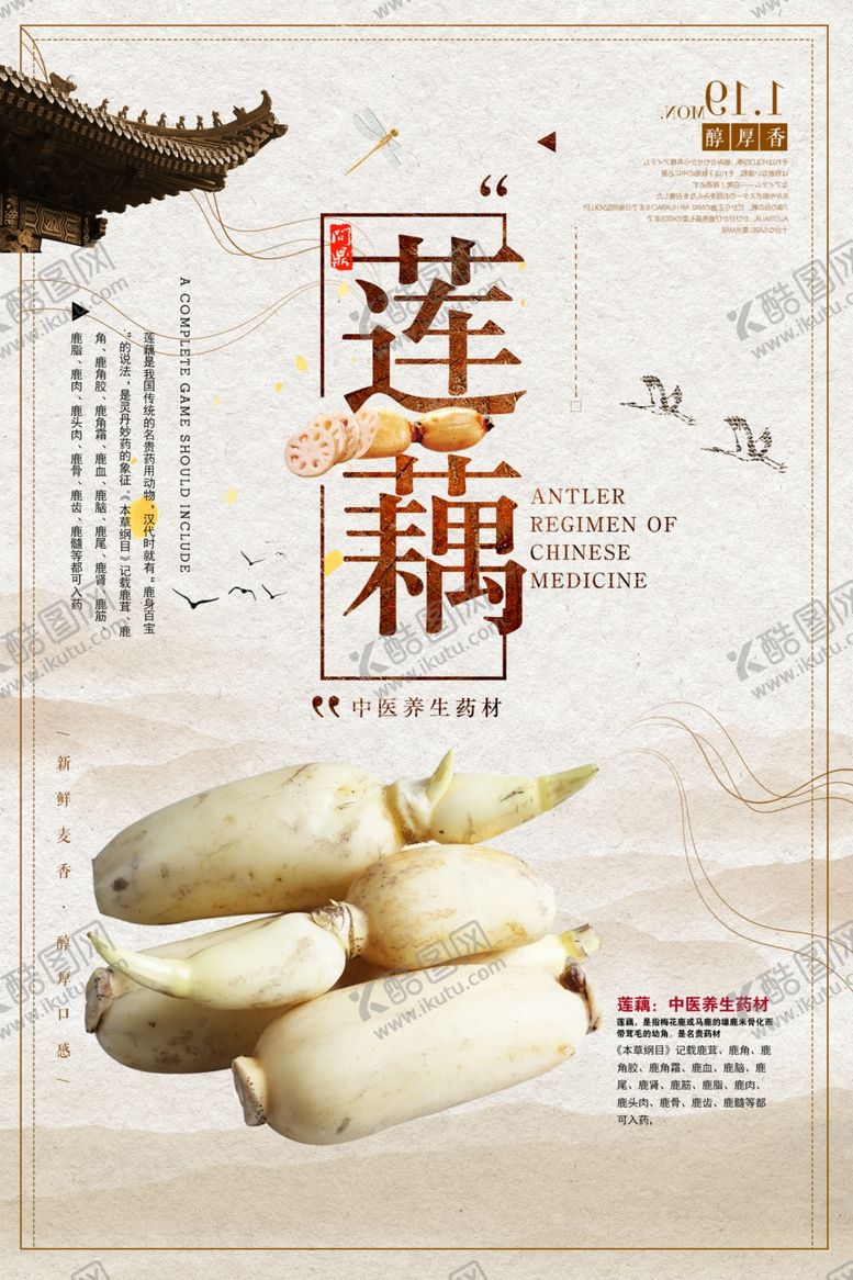 编号：42351803282112193095【酷图网】源文件下载-莲藕海报