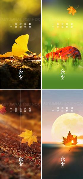 秋分海报