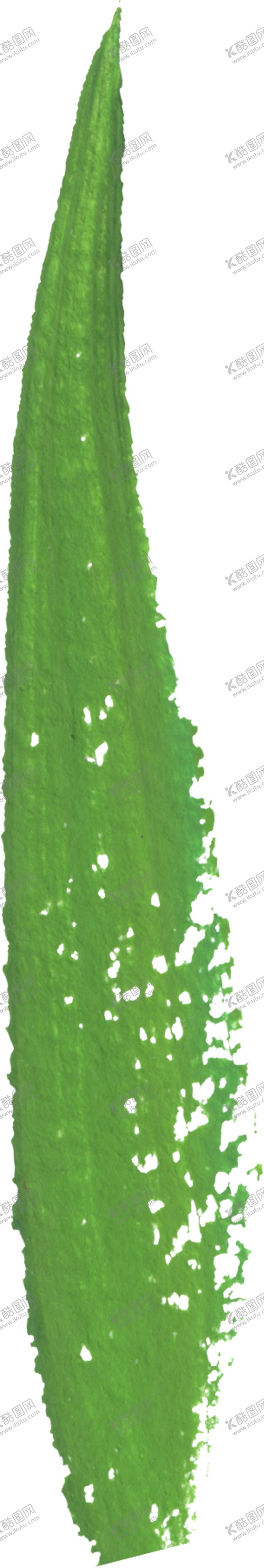 编号：26066806252220127803【酷图网】源文件下载-水彩手绘花卉花朵植物