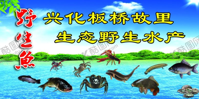 编号：42646710150052345176【酷图网】源文件下载-生态野生水产鱼螃