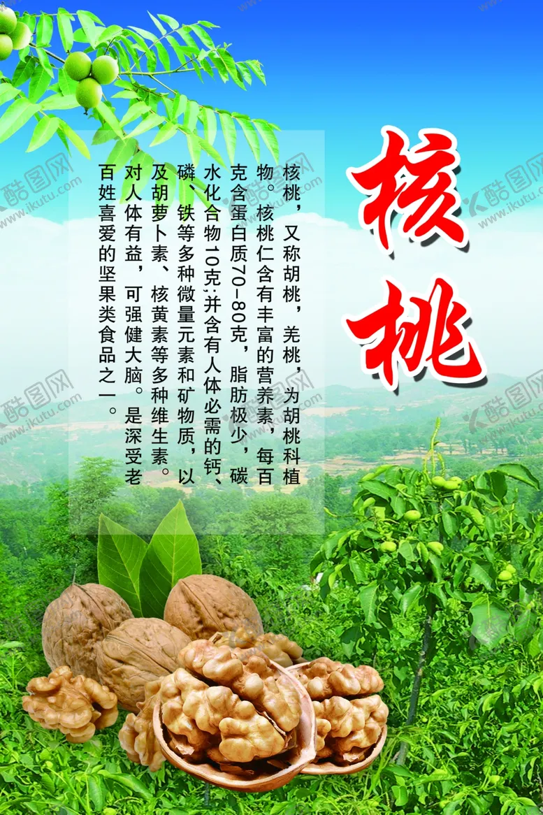编号：39916402191932448981【酷图网】源文件下载-核桃