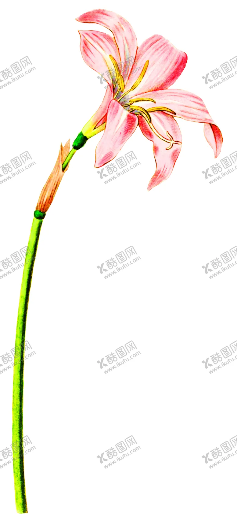 编号：14231506291155347450【酷图网】源文件下载-浪漫素材