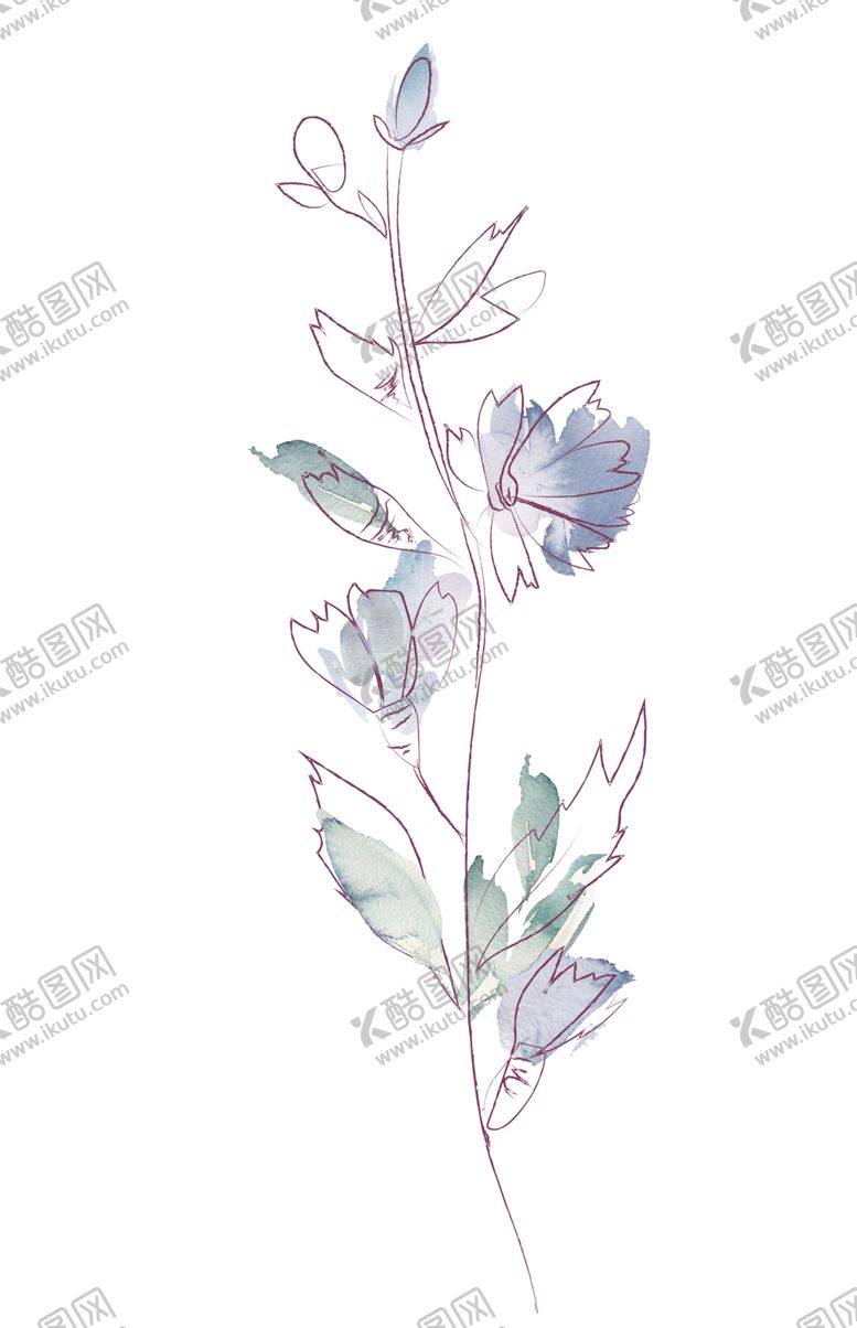 编号：57082310111512501127【酷图网】源文件下载-植物手绘水彩
