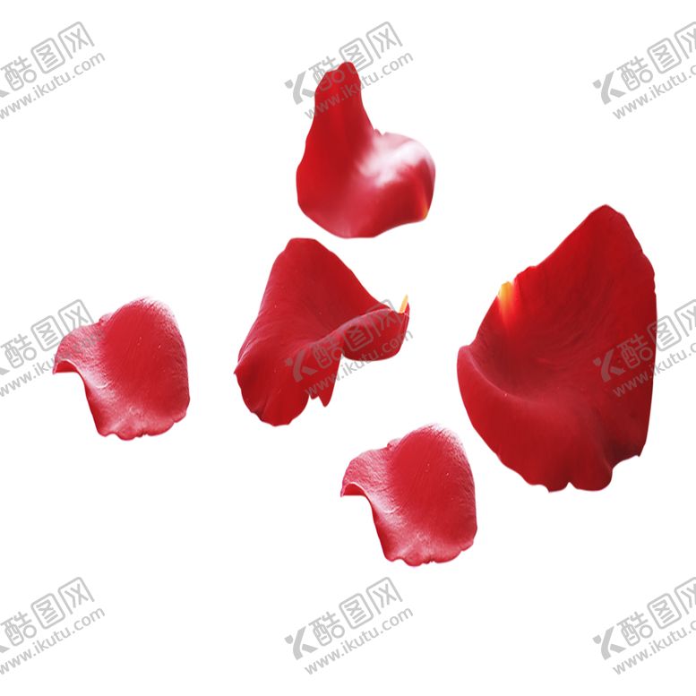 编号：78434509182128059194【酷图网】源文件下载-手绘植物花卉