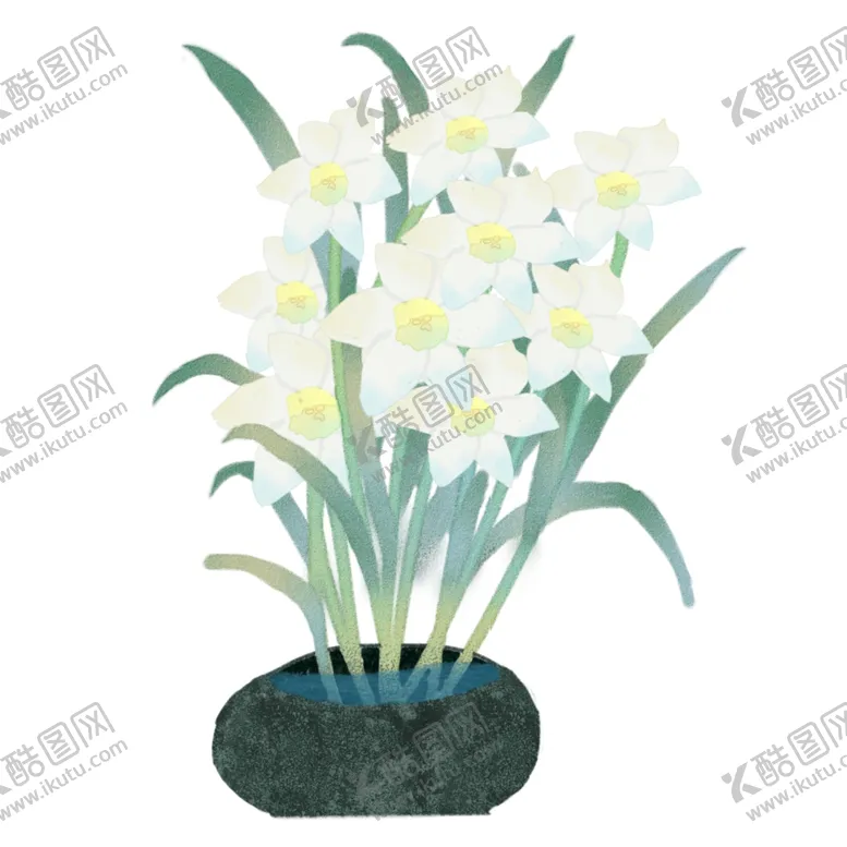 编号：95770405031438531064【酷图网】源文件下载-水仙花插画