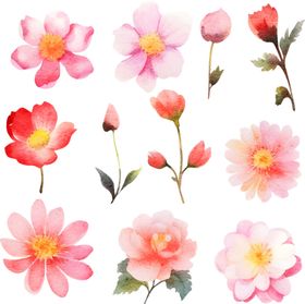 水彩花卉