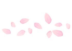 飘落的花瓣