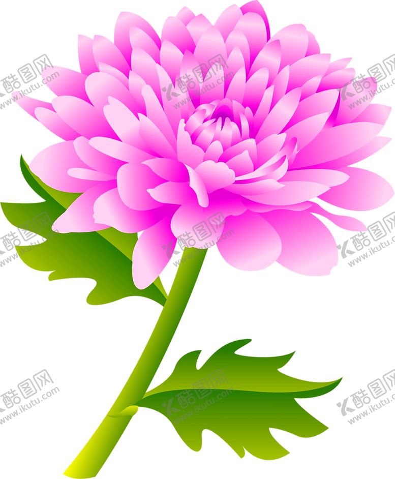 编号：27289505161019146992【酷图网】源文件下载-鲜花装饰