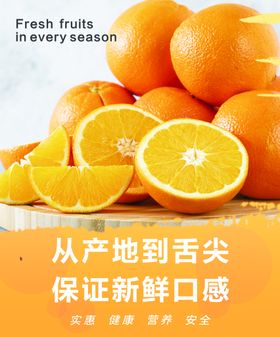 橙子脐橙新鲜水果