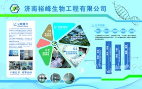 公司企业文化形象墙