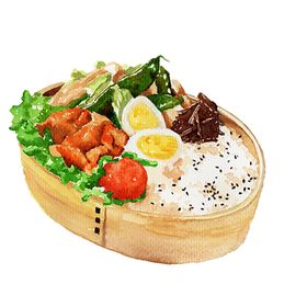 手绘便当
