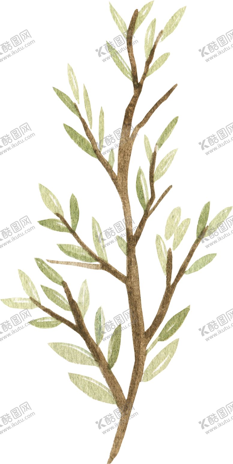 编号：72701507130137081667【酷图网】源文件下载-彩绘枝叶
